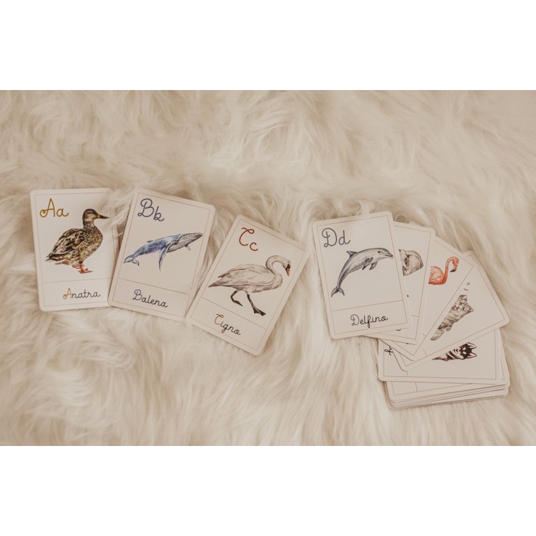 Carte della nomenclatura - ALFABETO