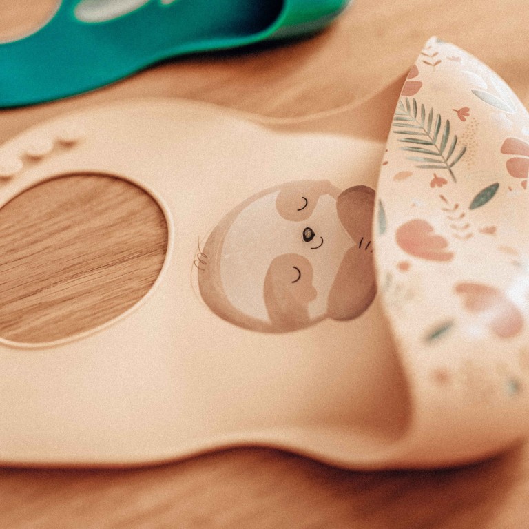 Silicone Bib - Gnawy the Sloth