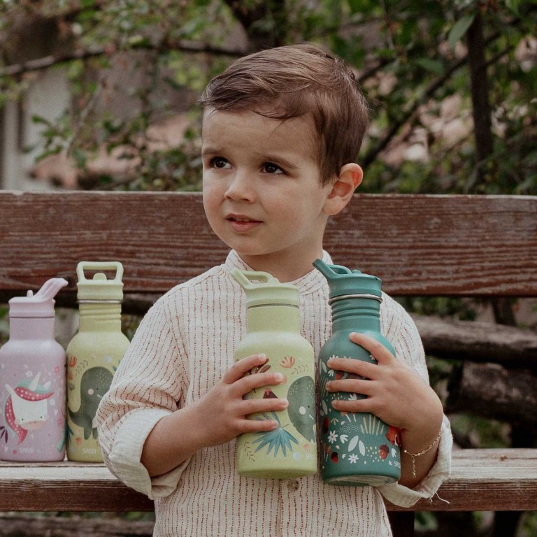 350 ml Vacuum Insulated Steel Bottle - Cracky the Dinosaur