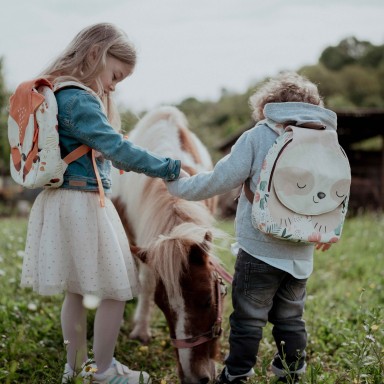 Zaino mini A5 - Bradipo Gnawy