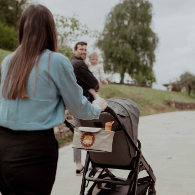 Stroller Organizer - Chompy the Lion
