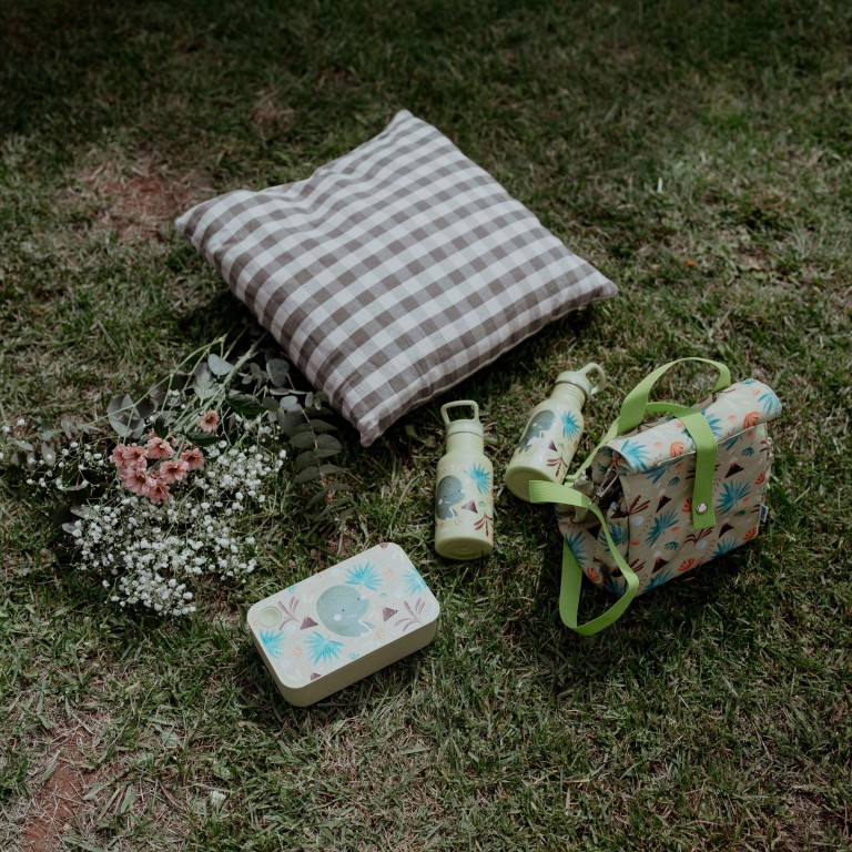 RPET lunch Box - Cracky the Dinosaur