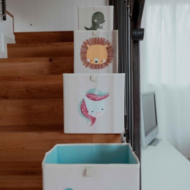 Storage Square Box - Cracky the Dinosaur