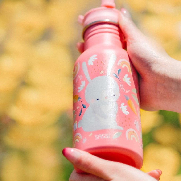 500 ml Stainless Steel Bottle - Gnummy  the Sloth