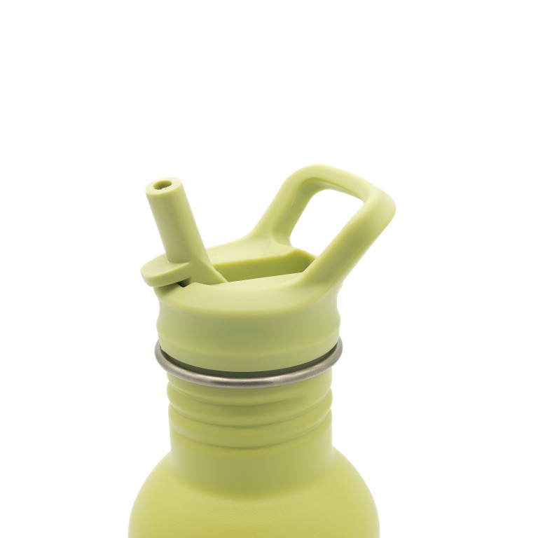 500 ml Stainless Steel Bottle - Cracky the Dinosaur