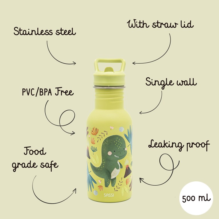 500 ml Stainless Steel Bottle - Cracky the Dinosaur