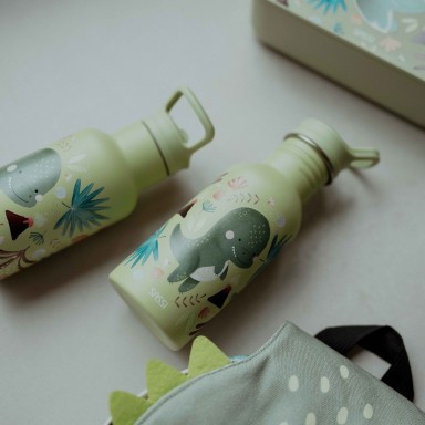 500 ml Stainless Steel Bottle - Cracky the Dinosaur