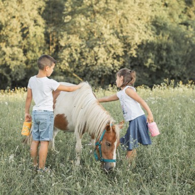 Baby food flask - Chompy the lion