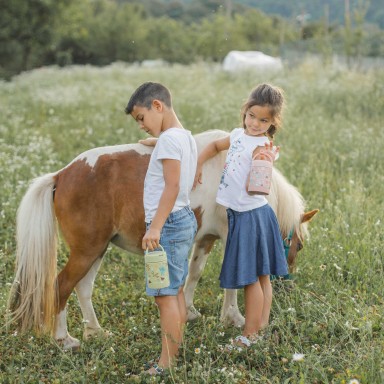 Thermos portapappa - Dinosauro Cracky
