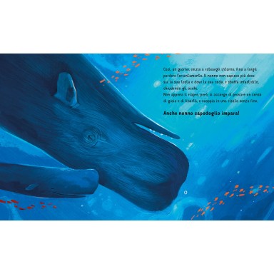 Anche i nonni imparano