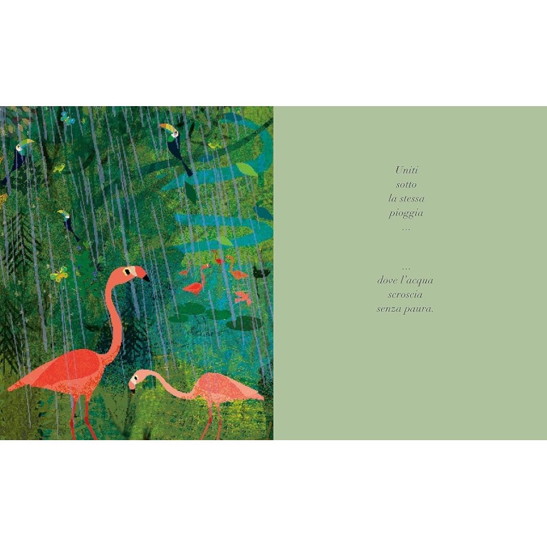 Sotto Lo Stesso Cielo