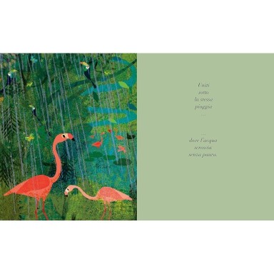 Sotto Lo Stesso Cielo