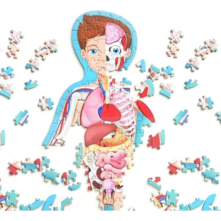 Viaggia, conosci, esplora. Il corpo umano