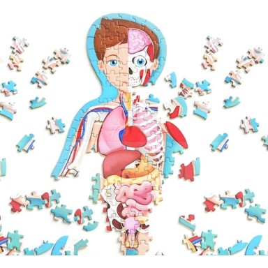 Viaggia, conosci, esplora. Il corpo umano