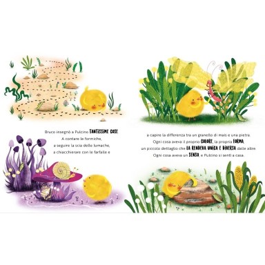 Una felicità da pulcino