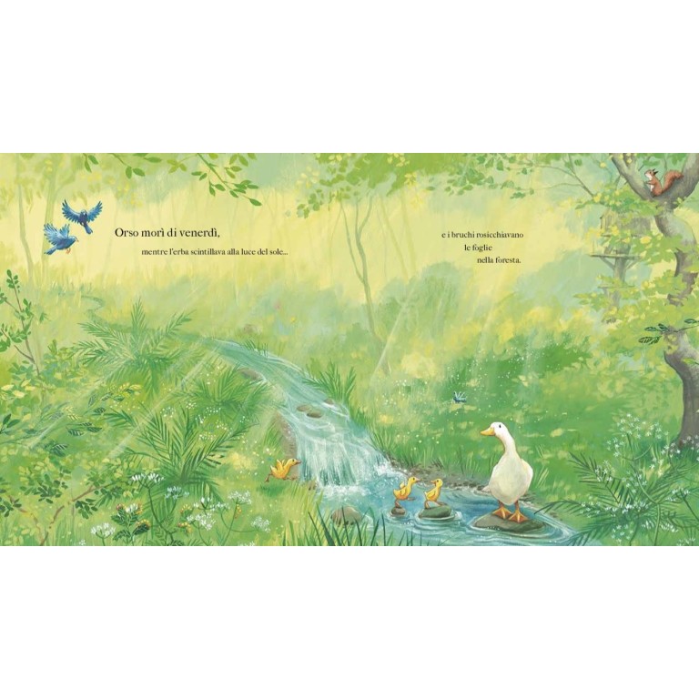 Caro amico Orso (Outlet)