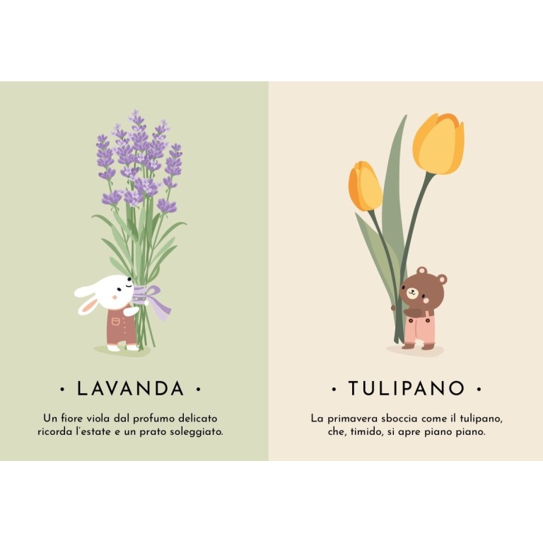 Le mie prime carte. La natura (Outlet)