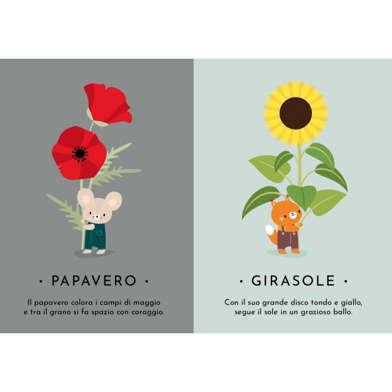 Le mie prime carte. La natura (Outlet)