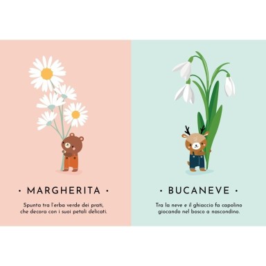 Le mie prime carte. La natura (Outlet)