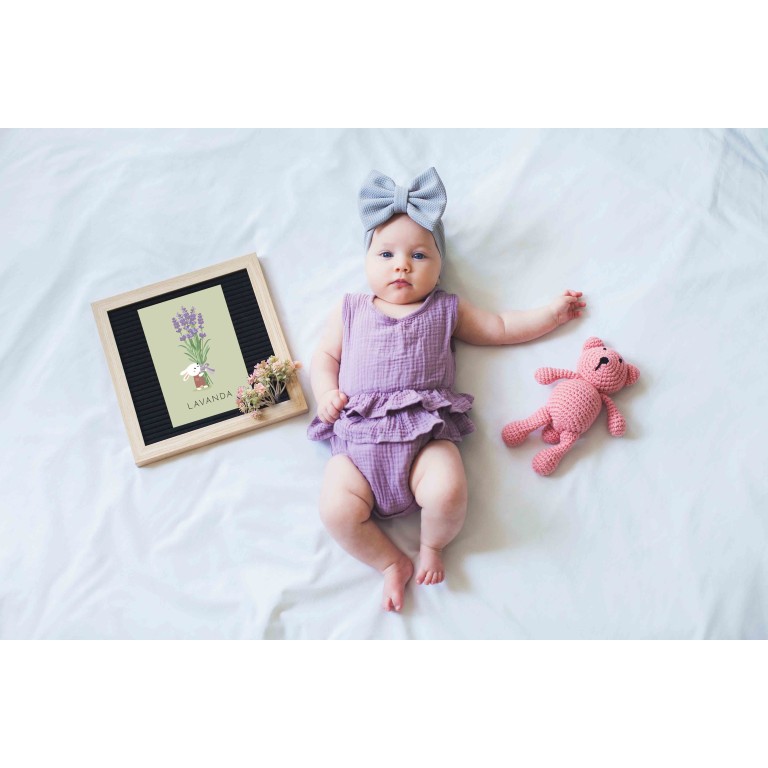 Le mie prime carte. La natura (Outlet)