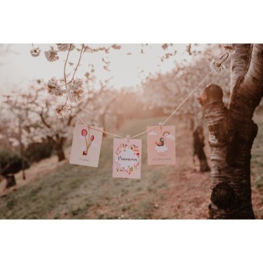 Le mie prime carte. La natura (Outlet)