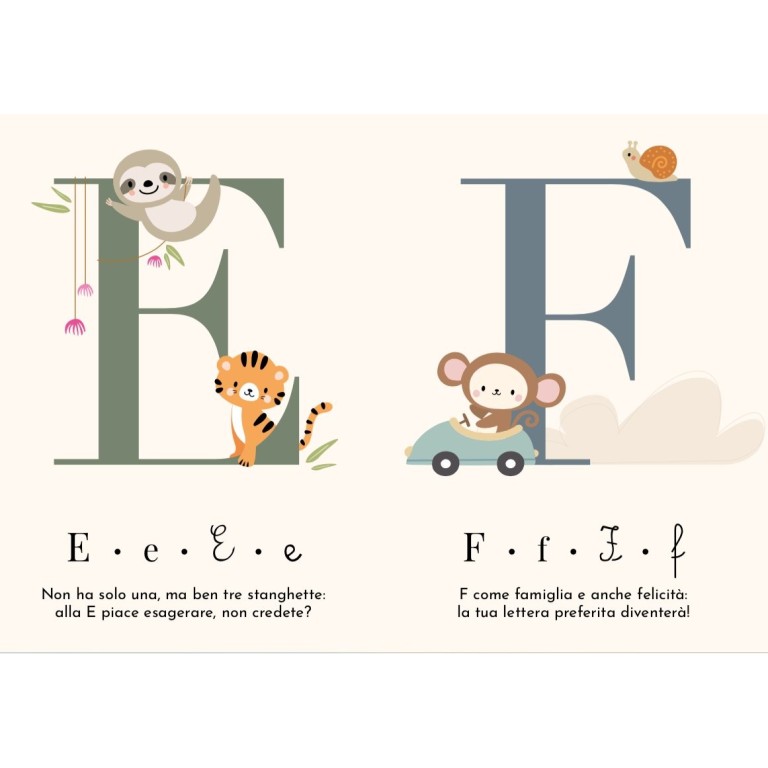 Le mie prime carte. L'alfabeto (Outlet)