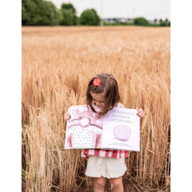 Il gomitolo di lana (Outlet)