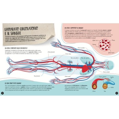 Cosa, come, perché. Il Corpo Umano (Outlet)