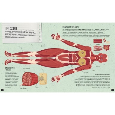 Cosa, come, perché. Il Corpo Umano (Outlet)