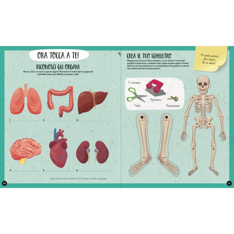 Cosa, come, perché. Il Corpo Umano (Outlet)