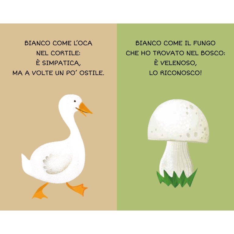 La mia prima biblioteca. I colori