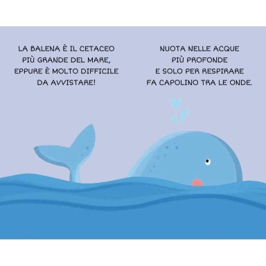 La mia prima biblioteca. Leggo e imparo