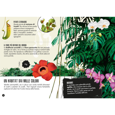 L'elefante 3D. La giungla. Una fantastica biodiversità (Outlet)