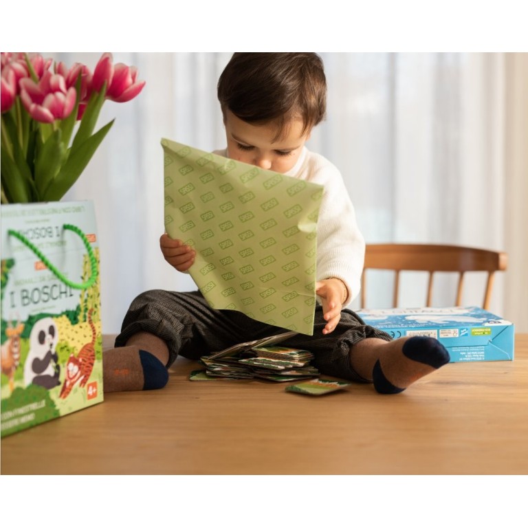 Memo. Animali da salvare. I boschi (Outlet)