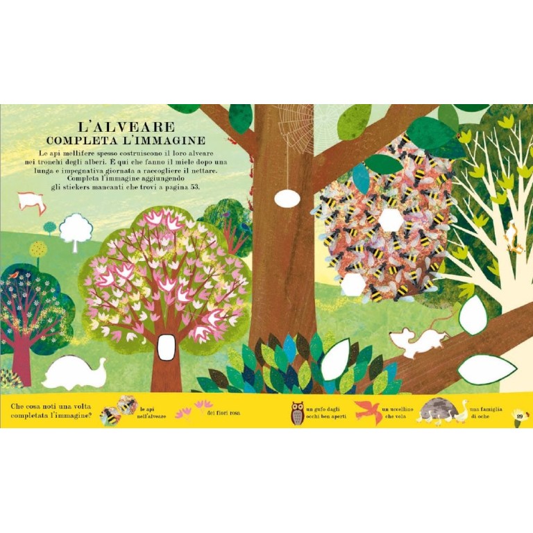 Ape. Il libro delle attività