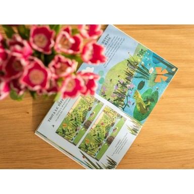 Ape. Il libro delle attività