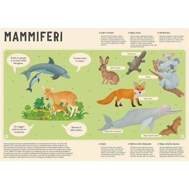 Enciclopedia degli animali per piccoli lettori