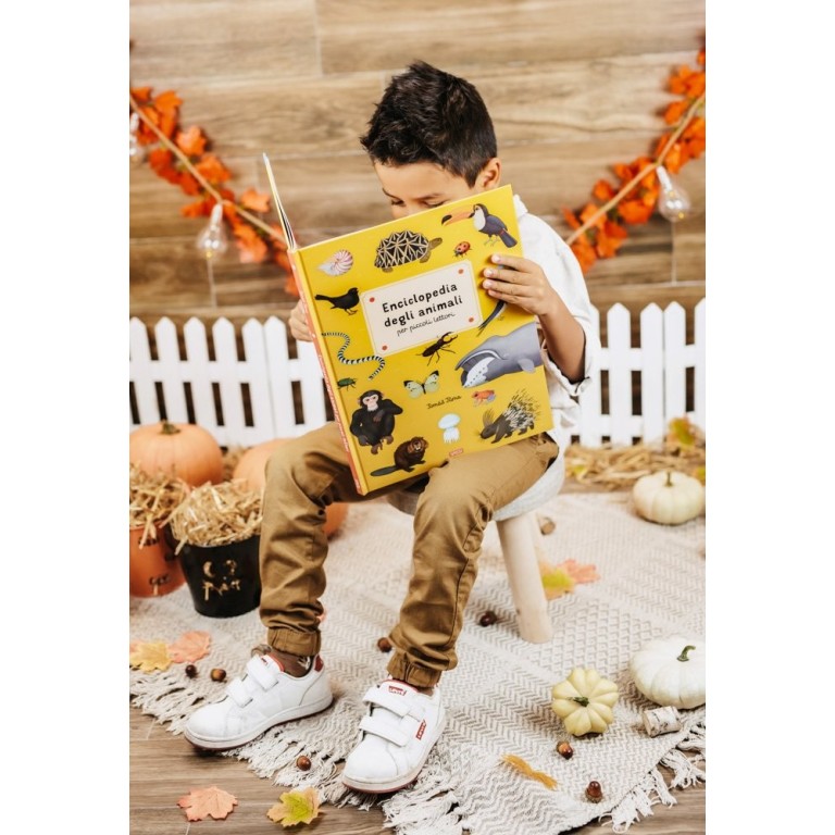 Enciclopedia degli animali per piccoli lettori