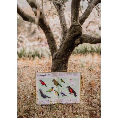 Enciclopedia degli uccelli per piccoli lettori