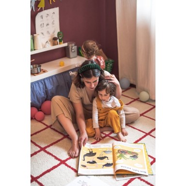 Enciclopedia degli uccelli per piccoli lettori