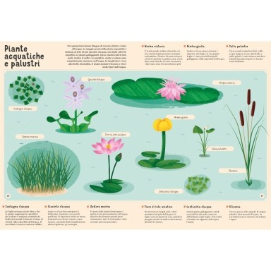 Enciclopedia di piante, funghi e licheni per piccoli lettori