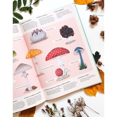 Enciclopedia di piante, funghi e licheni per piccoli lettori