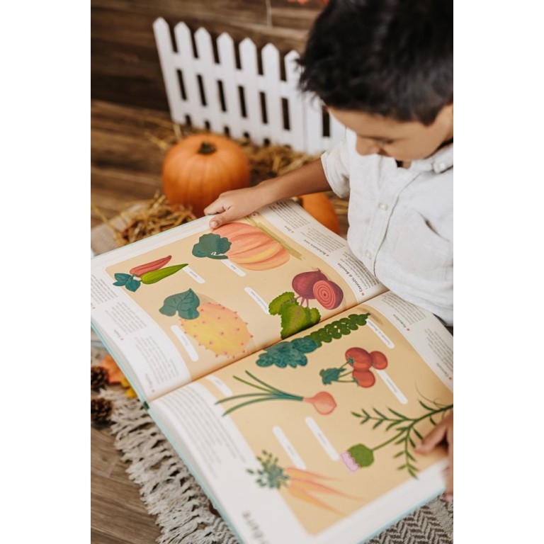 Enciclopedia di piante, funghi e licheni per piccoli lettori