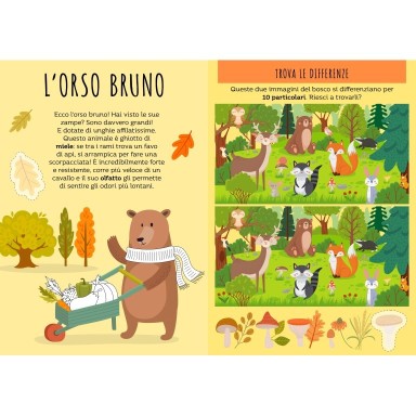 Carte da gioco. Le sette famiglie. Il bosco