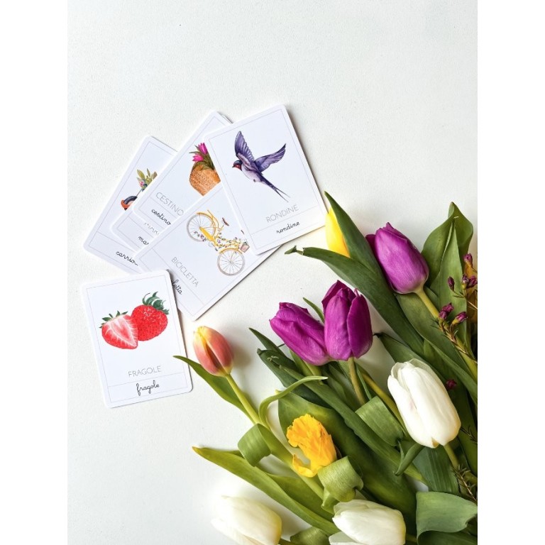 Carte della nomenclatura - PRIMAVERA