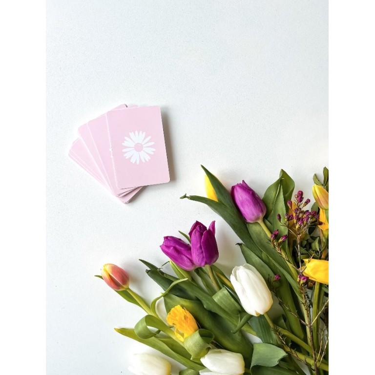 Carte della nomenclatura - PRIMAVERA