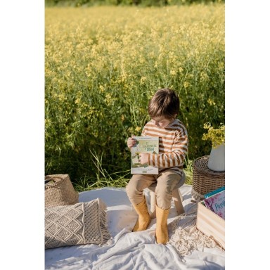 Le raccontacarte del giardiniere dei sogni