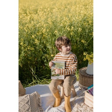 Le raccontacarte del giardiniere dei sogni