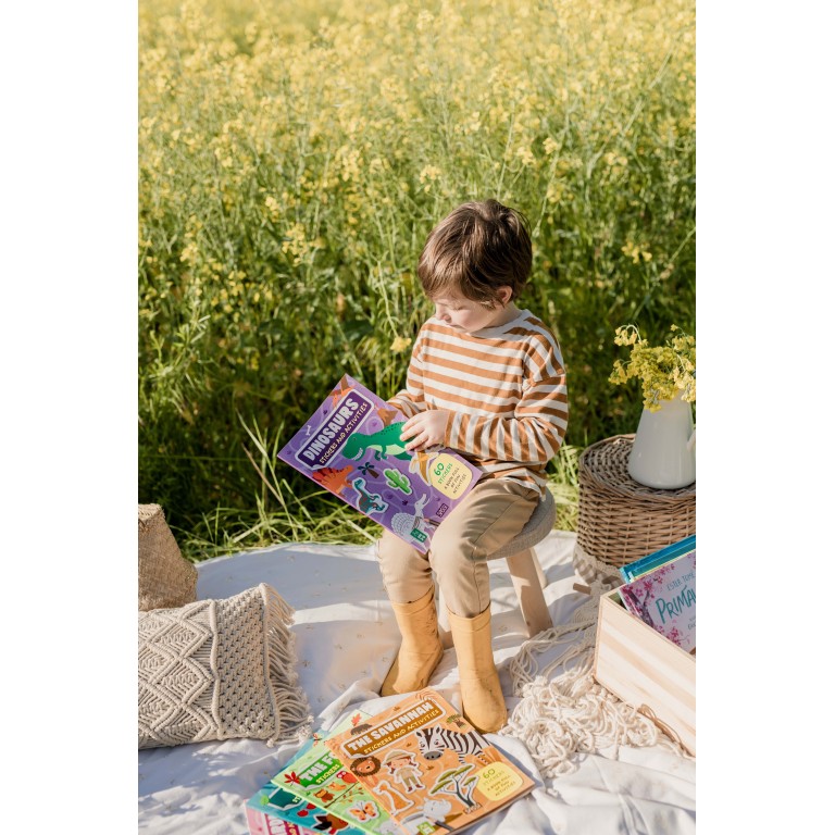 Stickers e attività. I dinosauri