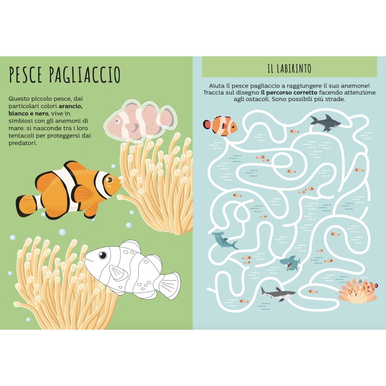 Carte da gioco. Attenti allo squalo! (Outlet)